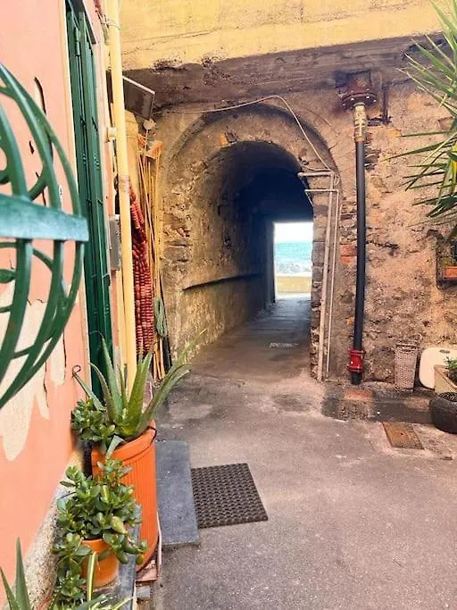Casa Orri Quinto Mare E Gaslini Apartment Genoa